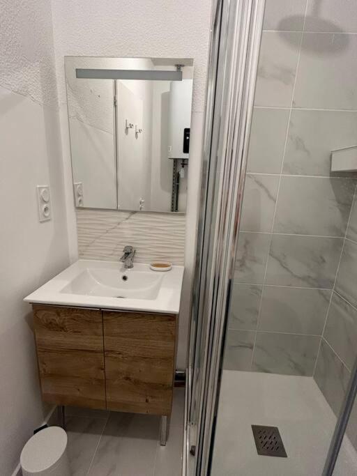 Au Coeur De Toulouse - Carmes Apartment Ngoại thất bức ảnh